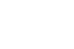 Trust Logo 1