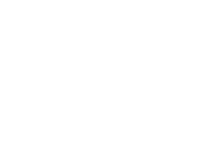 Trust Logo 3